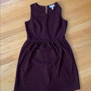 Ann Taylor loft a line polka dress